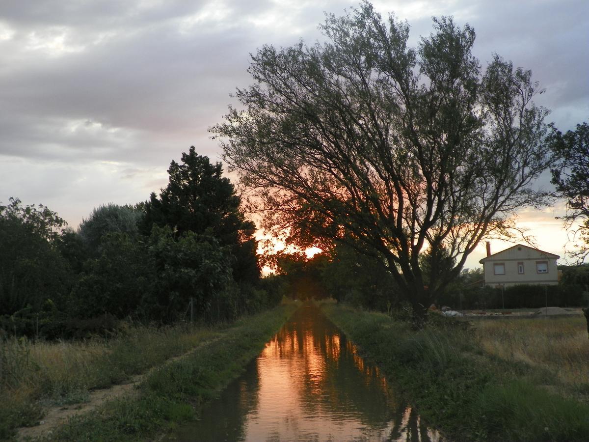 El Rincon De Los Abuelos Tudela de Duero Eksteriør billede